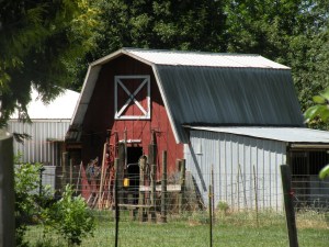 When I was eight, he built this barn for our chicken flock, rabbit herd, and horse, dogs and oow.  In the process, he taught me more about life than building for which I am eternally grateful.