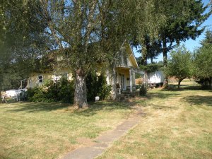 When we left Los Angeles, we found a wondrful life as a young family.  Our first stop was my Uncle Lee's house where Dad communted long hours to Portland, and mom cooked for the ranch hands.  We had each other no matter how hard it was and both Mom and never let on when times were tough.