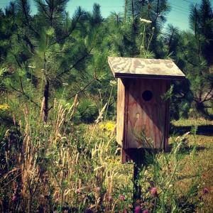 The mowing continues...